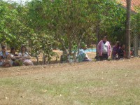 /album/churrasco-nosso-/churrasco-05-09-2010-5-jpg/